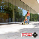 Buzzy Retro Verde | 2 en 1 | Barra de Paseo | Go Kart a pedal | BERG | 2 a 5 años - Jugueteria Renner