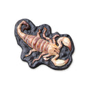 Moldes y Pintura | Animales espeluznantes | SES Creative | + 5 años