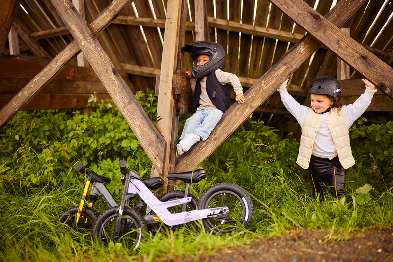 Biky Cross Purpura | Con Freno | Bicicleta de balance | Bicicleta de equilibrio | BERG |  2.5 a 5 años