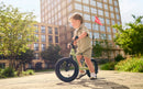 MOOV 12 Purpura | Bicicleta de balance | Bicicleta de equilibrio | BERG |  2.5 a 5 años