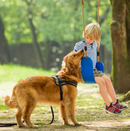 Columpio Basico Blue | Accesorios | PlayBase