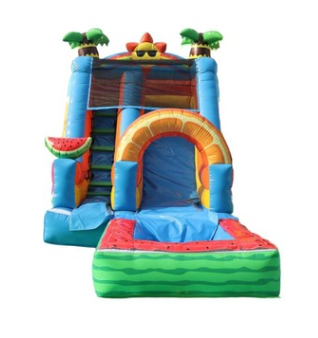 Tobogán Acuático Tropical | Juego Inflable | National I 6.0x3.5x4.8 mts