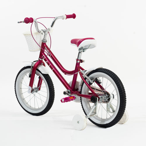 Bicicleta Infantil | Malulu | Rali | Aro 16 | Purpura | 105 a 120 cm | 4 a 6 años
