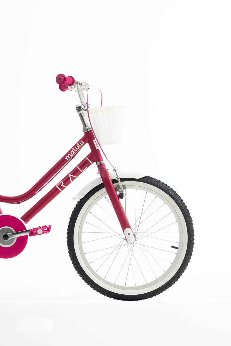 Bicicleta Infantil | BMX Malulu | Rali | Aro 20 | Purpura | 115 a 135 cm | 6 a 9 años