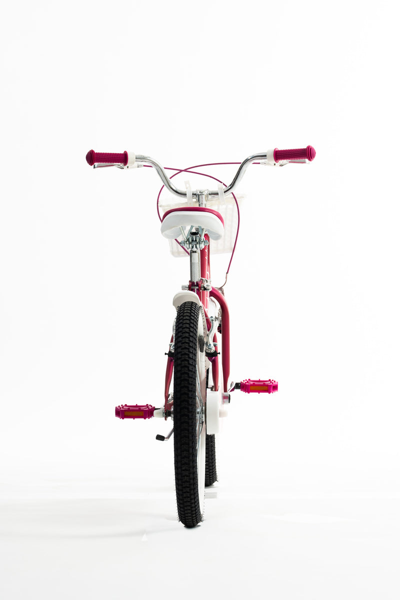 Bicicleta Infantil | BMX Malulu | Rali | Aro 20 | Purpura | 115 a 135 cm | 6 a 9 años