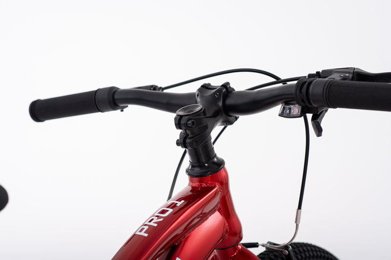 Bicicleta Infantil | MTB PRO 1 | Rali | Aro 20 | Roja | 115 a 135 cm | 6 a 9 años