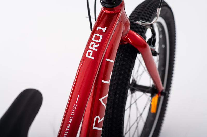 Bicicleta Infantil | MTB PRO 1 | Rali | Aro 20 | Roja | 115 a 135 cm | 6 a 9 años