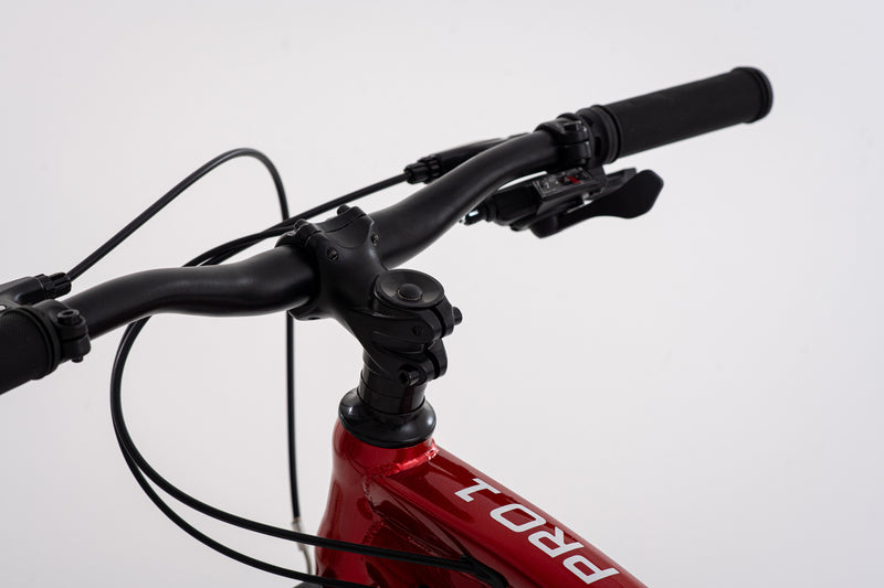 Bicicleta Infantil | MTB PRO 1 | Rali | Aro 24 | Rojo | 135 a 155 cm | 9 a 12 años