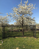 Forza | Arco de Fútbol | Exit Toys | 200x500 cm - Jugueteria Renner