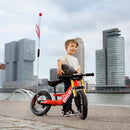 Biky Cross Roja | Aprendizaje | Bicicleta sin pedal | BERG | 2.5 a 5 años - Jugueteria Renner