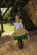 Carretilla Dempy | BERG | 2 a 6 años | 95x40x36 cm - Jugueteria Renner